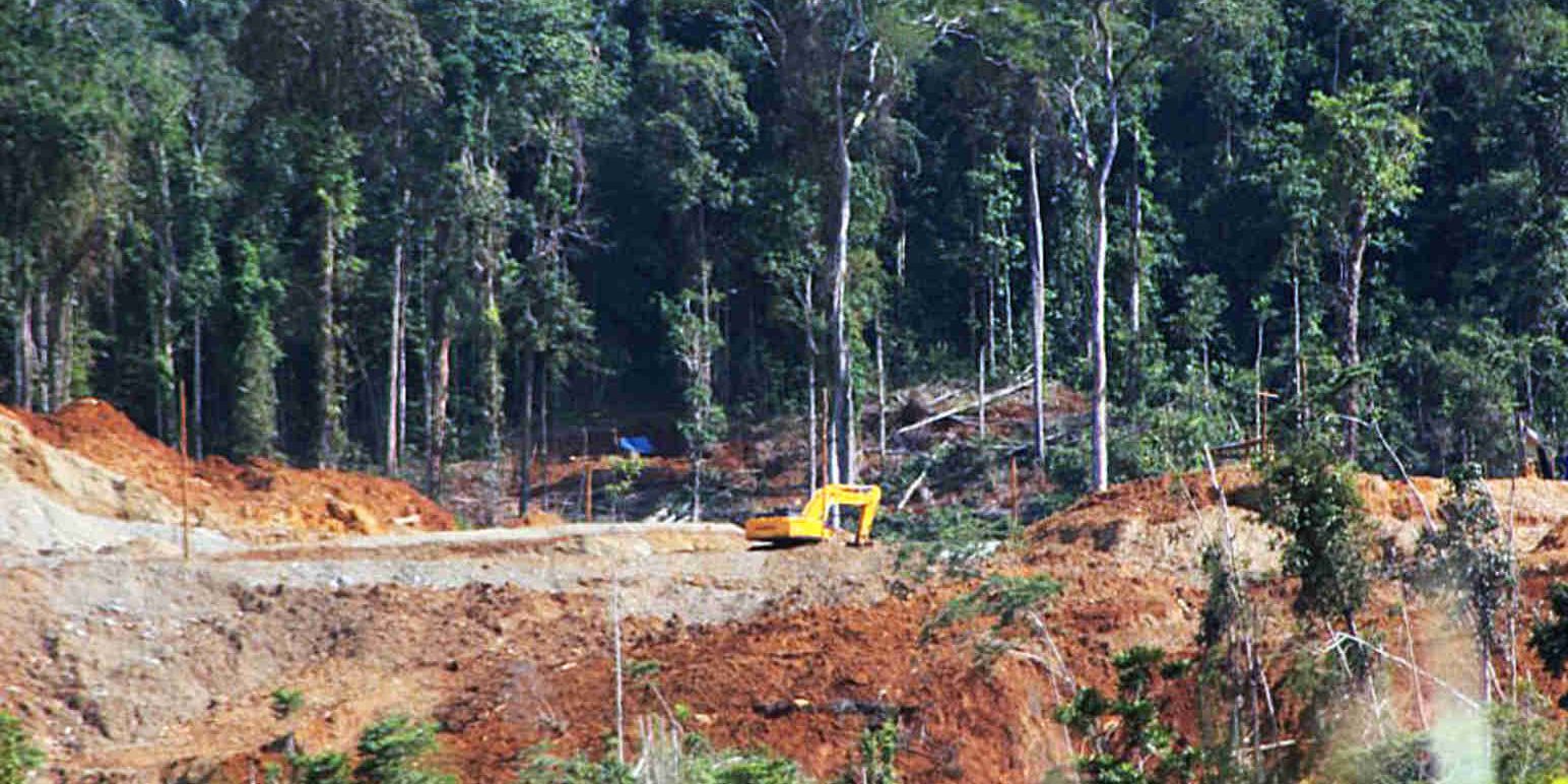 Abholzung Regenwald – Rettet den Regenwald e.V.