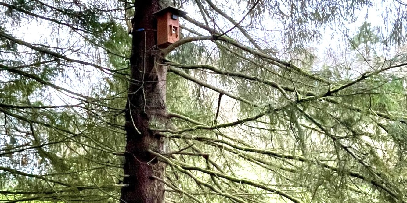 Nistkasten aussen März