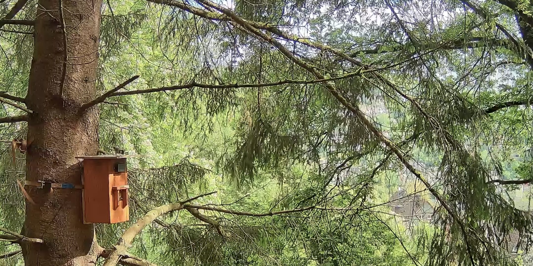 Nistkasten aussen