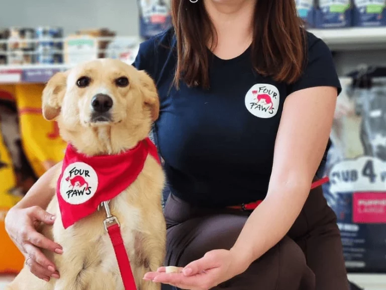 Streunerin Alisa – Vier-Pfoten