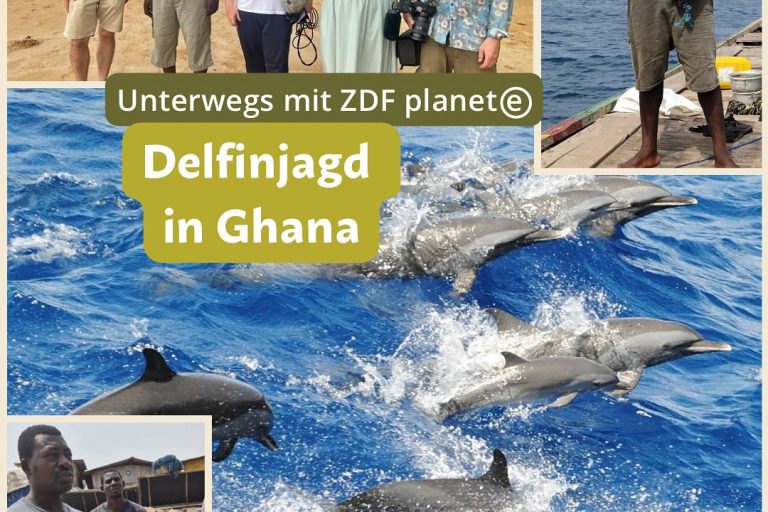 Delfinjagd Ghana