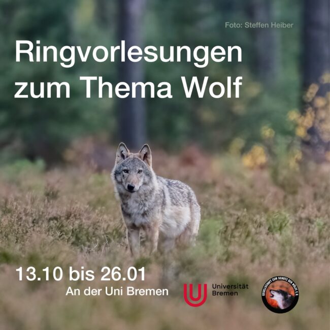 ringvorlesung-wolf-2026_2_foto-steffen-heiber